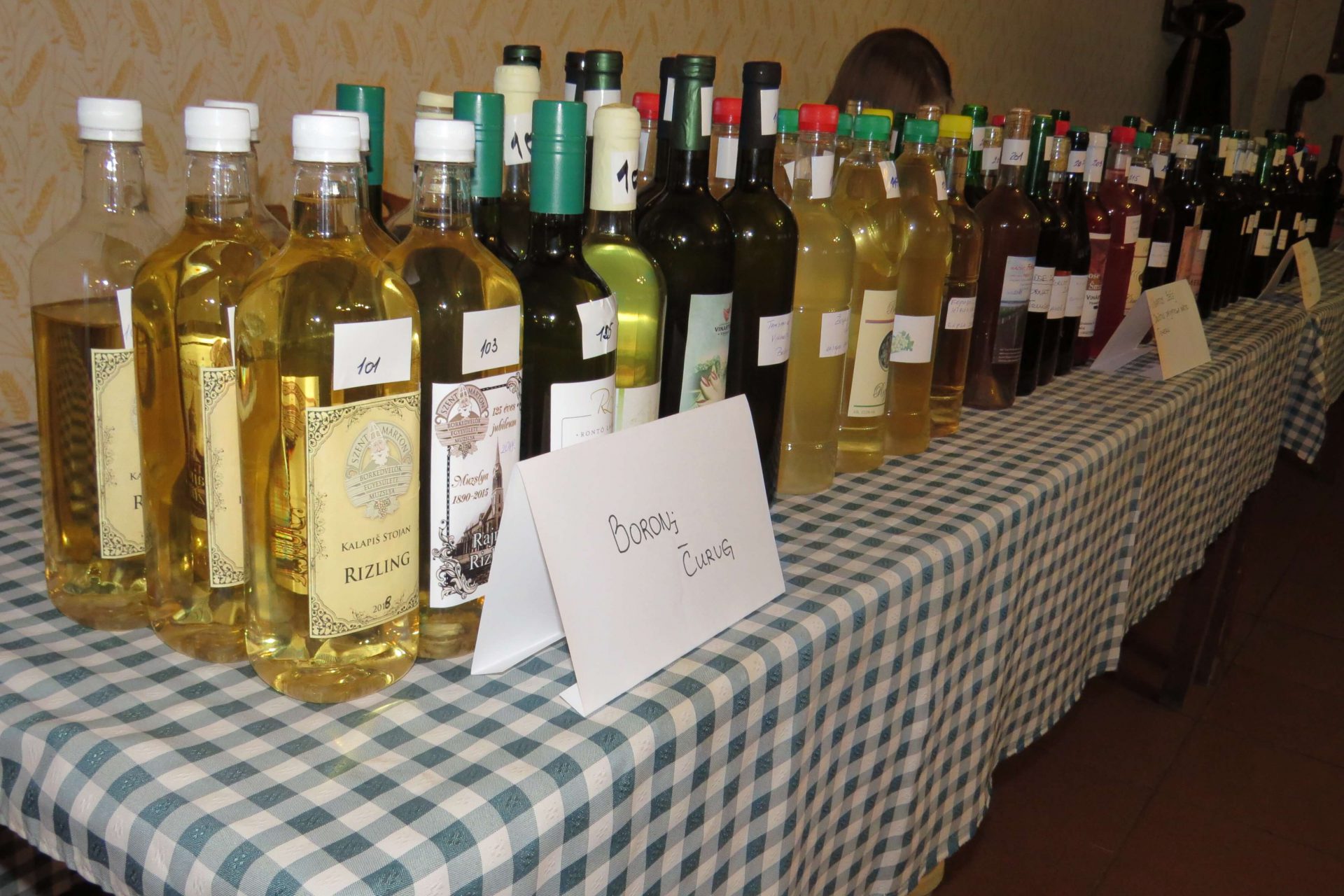 NOVA VINA POTISJA 2018